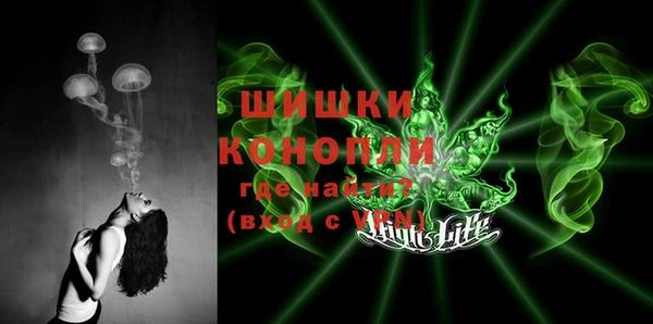 стафф Богородицк