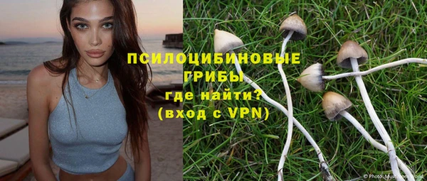 MESCALINE Богородск