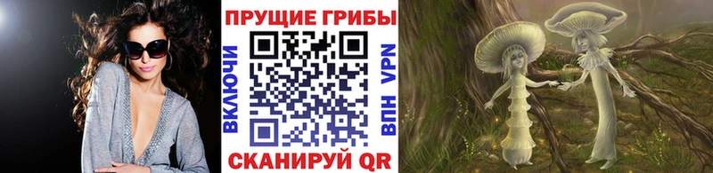 Псилоцибиновые грибы Cubensis  ссылка на мегу ТОР  Богданович 